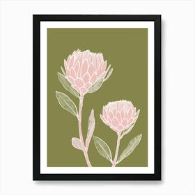 Pink & Green Protea 1 Art Print