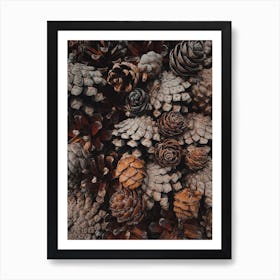 Rustic Pine Cones Art Print