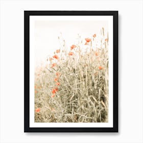 Poppy Field Art Print