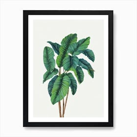 Lady Palm (Rhapis Excelsa) Watercolor Art Print