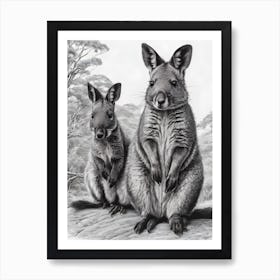 Kangaroos Art Print
