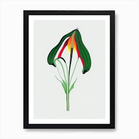 Jack In The Pulpit Floral Minimal Line Drawing 2 Flower Art Print