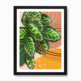 Abstract Calathea Roseopicta Art Print