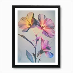 Iridescent Flower Evening Primrose 2 Art Print