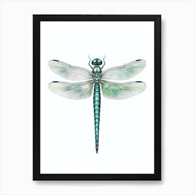 Common Green Darner Anax Junius 4 Poster