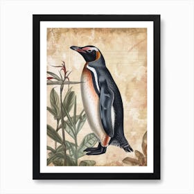 Adlie Penguin Robben Island Vintage Botanical Painting 4 Art Print