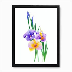 Iris Watercolour Flower Art Print