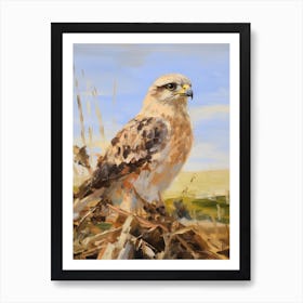 Bird Painting Falcon 1 Art Print