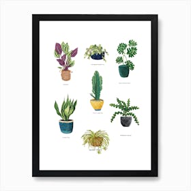 Potted Plants Art Print