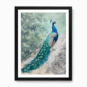 Peacock On A Path Watercolour Art Print