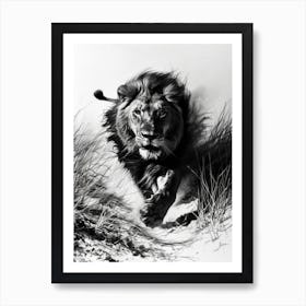 Barbary Lion Charcoal Drawing Hunting 1 Art Print