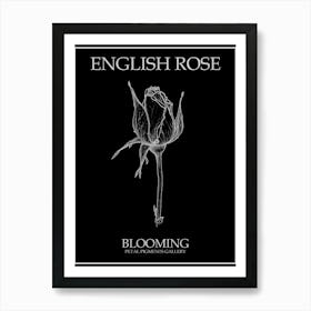 English Rose Blooming Line Drawing 4 Poster Inverted Art Print