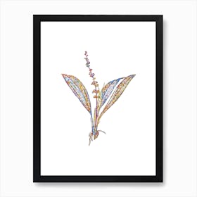 Stained Glass Peliosanthes Teta Mosaic Botanical Illustration on White n.0034 Art Print