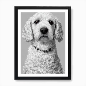 Lagotto Romagnolo B&W Pencil Dog Art Print