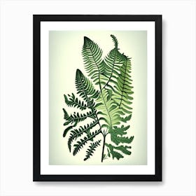 Southern Maidenhair Fern 3 Vintage Botanical Poster Art Print