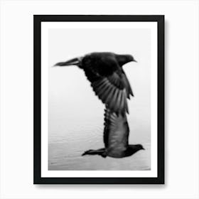 Black And White Phography. Two Black Birds. Vertical Version. Art Print