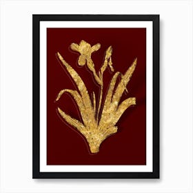 Vintage Hungarian Iris Botanical in Gold on Red n.0129 Art Print