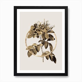 Gold Ring Pasture Rose Glitter Botanical Illustration n.0075 Art Print