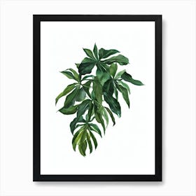 Money Tree Plant (Pachira Aquatica) Watercolor Art Print