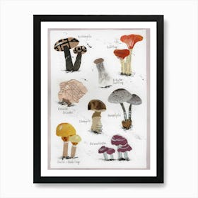 Fungi Print Pilze Maschrooms collage Art Print