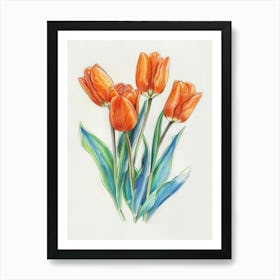 Orange Tulips 4 Art Print