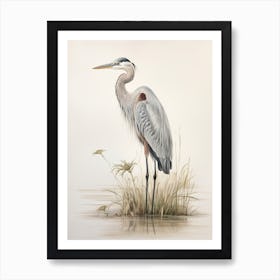 Vintage Bird Drawing Great Blue Heron 3 Art Print