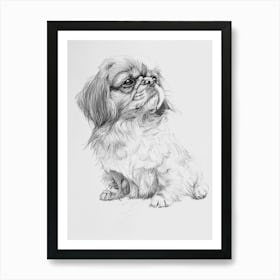 Pekingese Dog Line Sketch 4 Art Print