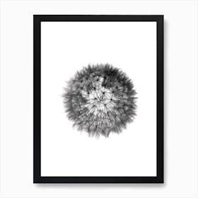 Grey Grafic Dandelion Art Print