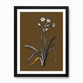 Vintage Crytanthus Vittatus Black and White Gold Leaf Floral Art on Coffee Brown n.0434 Art Print