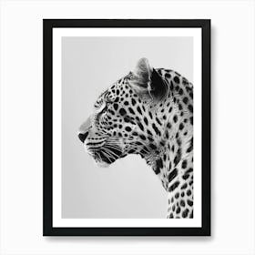 Leopard Head Portrait 1 Art Print