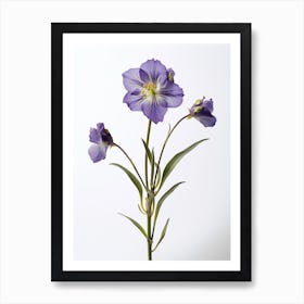 Pressed Wildflower Botanical Art Virginia Spiderwort 2 Art Print