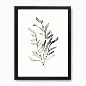 Bladderwrack Leaf Minimalist Watercolour 1 Art Print