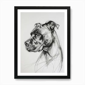 Cane Corso Charcoal Line 3 Art Print