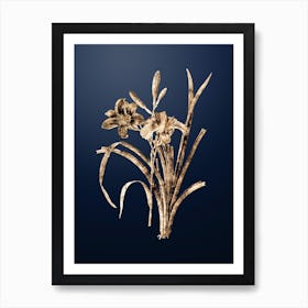 Gold Botanical Orange Day Lily on Midnight Navy n.0816 Art Print