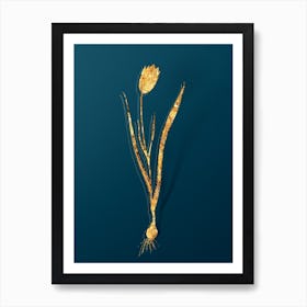 Vintage Lady Tulip Botanical in Gold on Teal Blue n.0270 Art Print