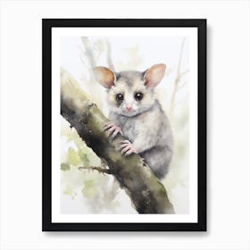 Light Watercolor Painting Of A Ringtail Possum 2 Art Print