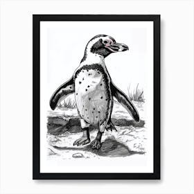 African Penguin Waddling 3 Art Print