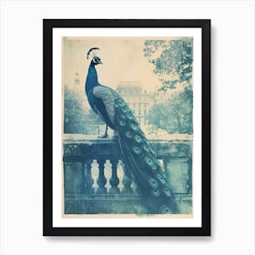 Vintage Turquoise Peacock With A Palace In The Background 1 Art Print