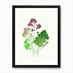 Parsley Spices And Herbs Minimal Line Drawing 2 Art Print