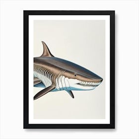 Sixgill Shark Vintage Art Print