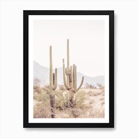 Arizona Cactus Art Print