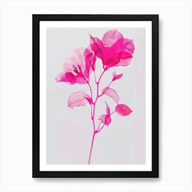 Hot Pink Bougainvillea 2 Art Print