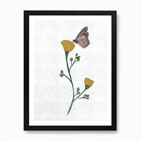 Poppy And Butterfly Art Print