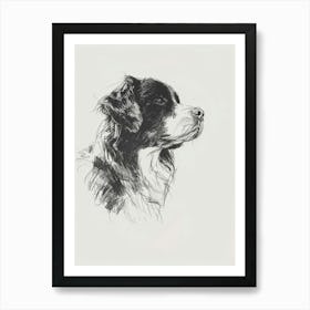 Bernese Mountain Dog Charcoal Line 2 Art Print