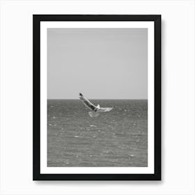 Seagull Flying Over The Ocean Art Print