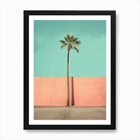 Palm Tree Against Pink Wall And Blue Sky Summer Photography Art Print