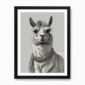 Llama 24 Art Print