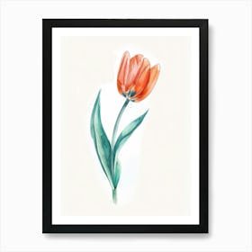 Watercolor Tulip 2 Art Print