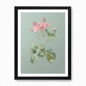 Vintage Pink Rosebush Botanical Art on Mint Green n.0557 Art Print