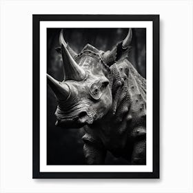 Black And White Photograph Of A Triceratops 1 Art Print